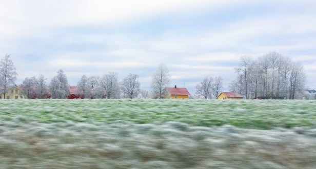 IMG_7462