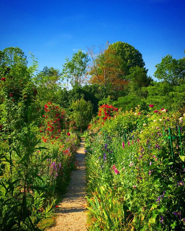 4d8c0608-91cd-409f-842a-62171b8d591e