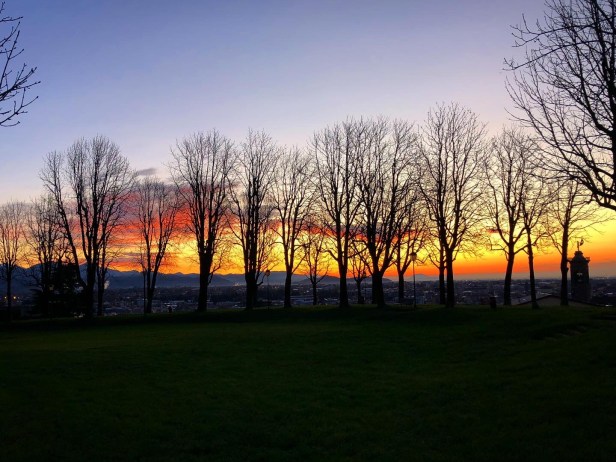 297df909-3c84-473a-b896-9d1bbc7c9e6a