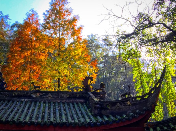 c7362a4b-2a68-444f-80b0-0ea8e4d6fe83